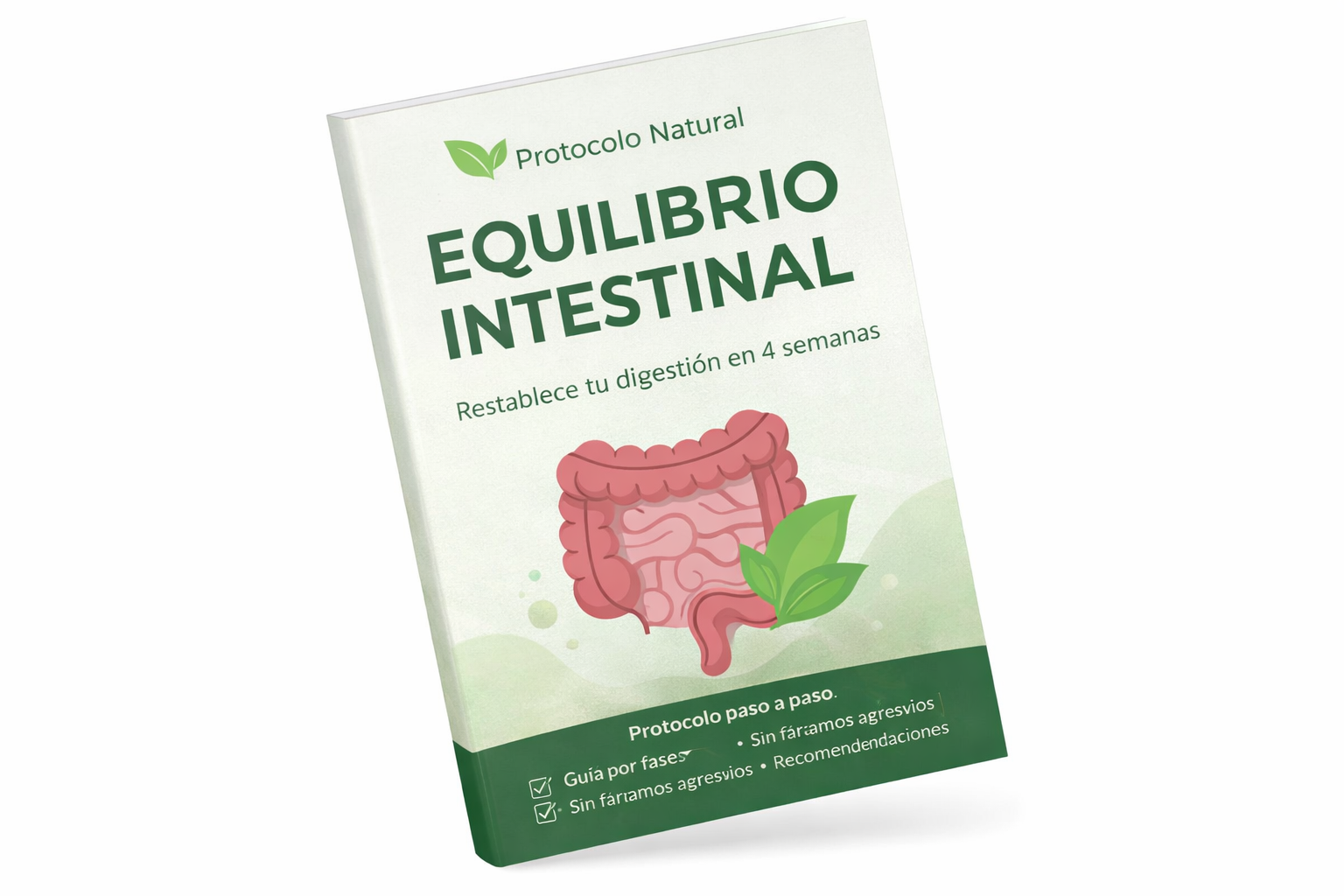Protocolo Natural para Equilibrar tu Digestión en 4 Semanas